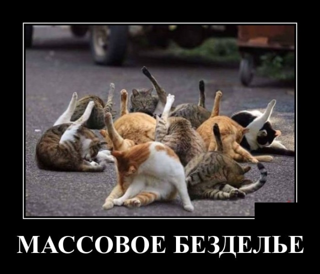 Демотиваторы