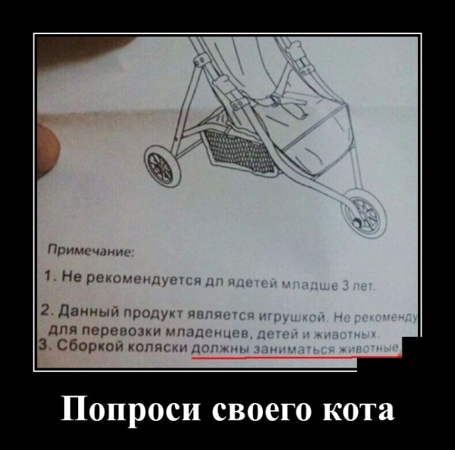 Демотиваторы