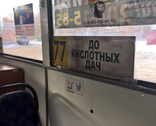 Забавные картинки