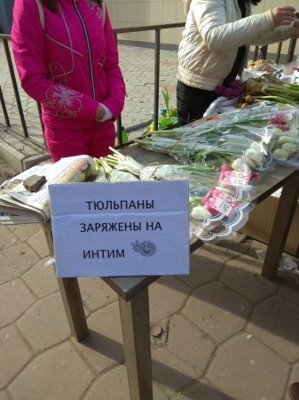 Забавные картинки