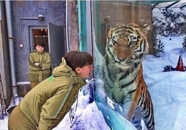 Забавные картинки