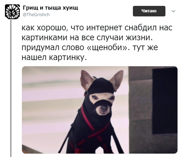 Забавные картинки