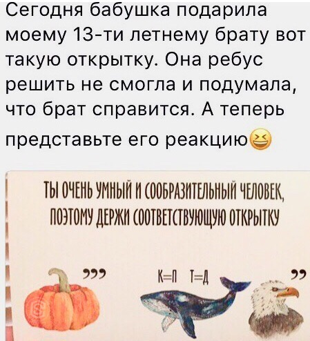 Забавные картинки
