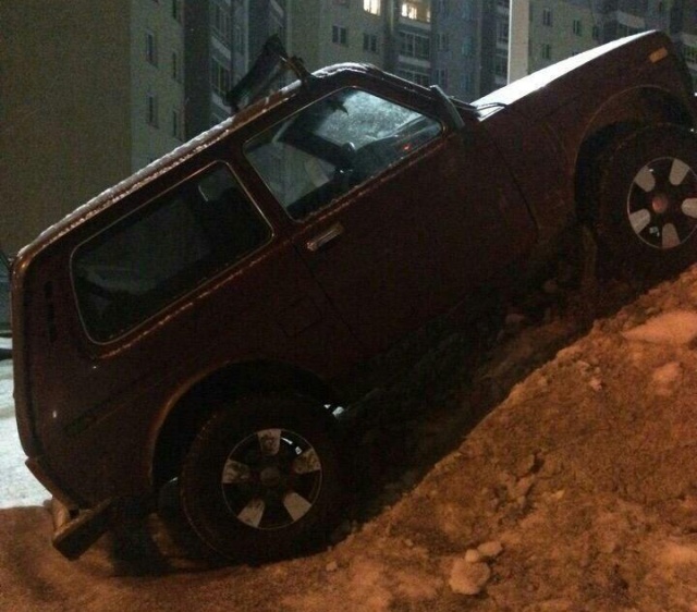 Прикольные картинки