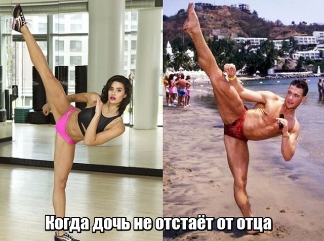 Прикольные картинки