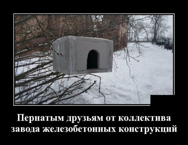 Демотиваторы