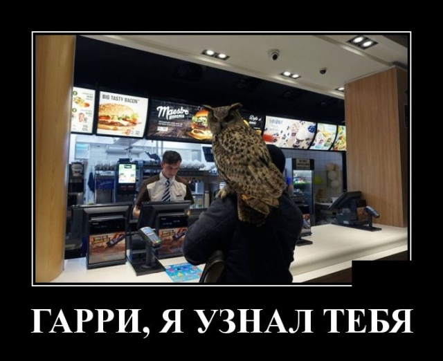 Демотиваторы
