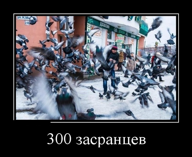 Демотиваторы