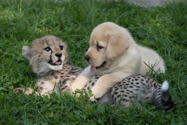 Удивительные снимки вместо тысячи слов