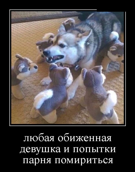 Демотиваторы