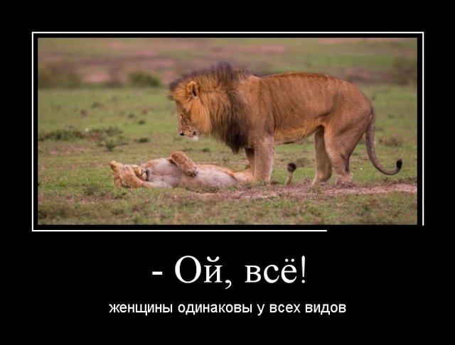 Демотиваторы