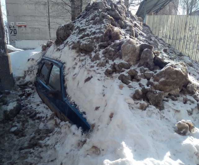 Прикольные картинки