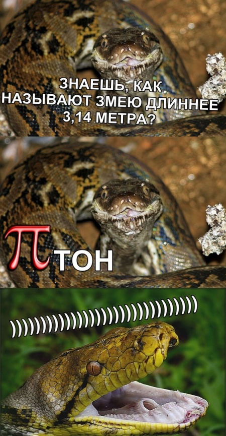 Прикольные картинки