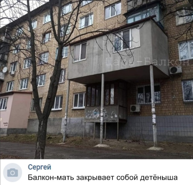 Прикольные картинки