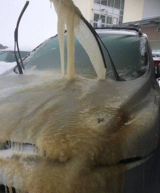 Прикольные картинки