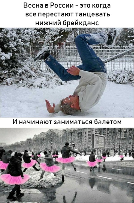 Прикольные картинки