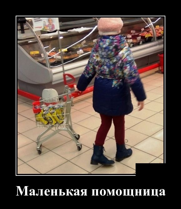 Демотиваторы