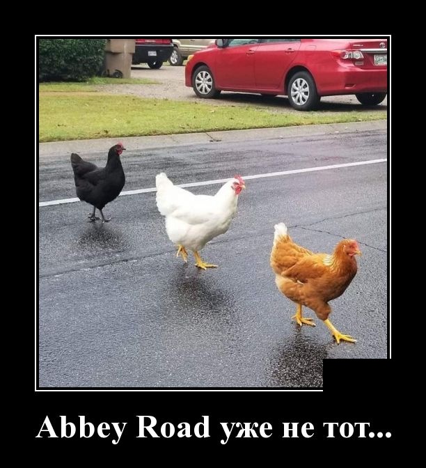 Демотиваторы