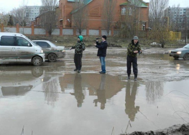 Прикольные картинки