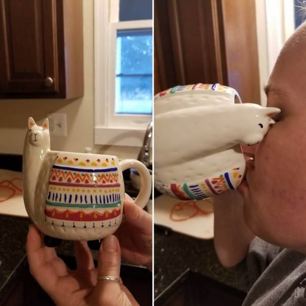 Прикольные картинки