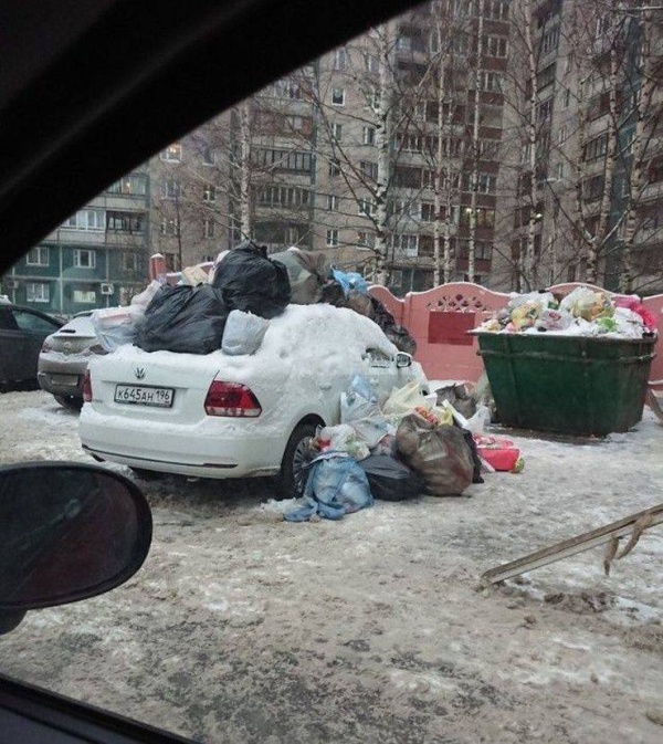 Прикольные картинки