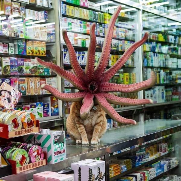 Прикольные картинки