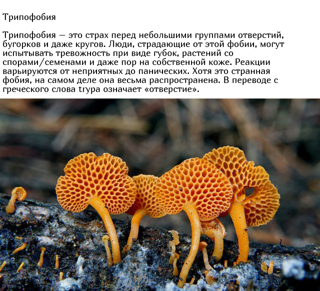 Самые странные и необычные фобии людей