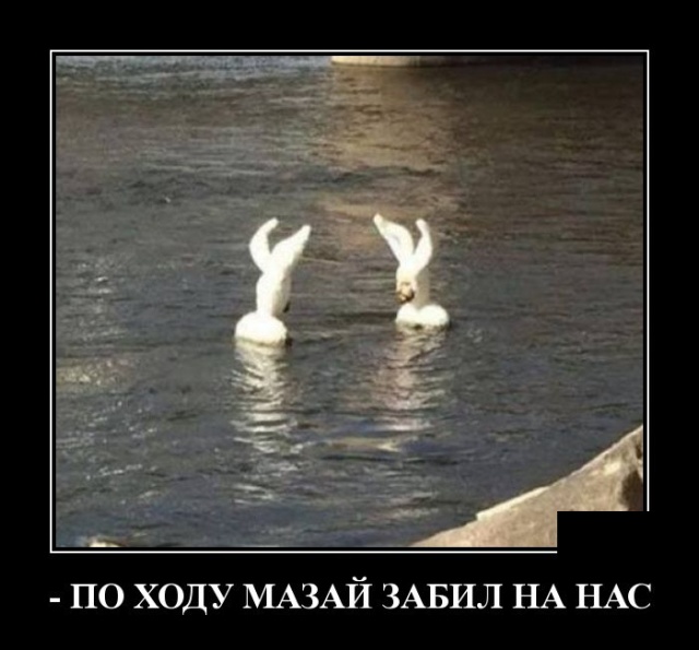 Демотиваторы