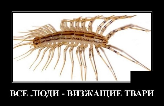 Демотиваторы