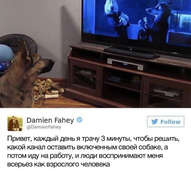 Прикольные картинки