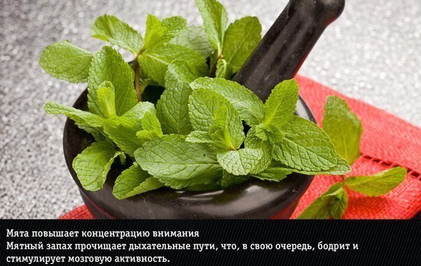 Естественные ароматы, неожиданно меняющие эмоции человека