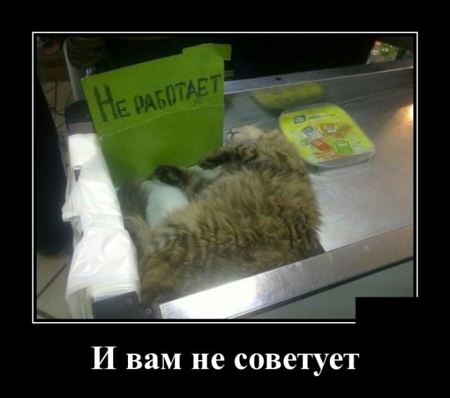 Демотиваторы