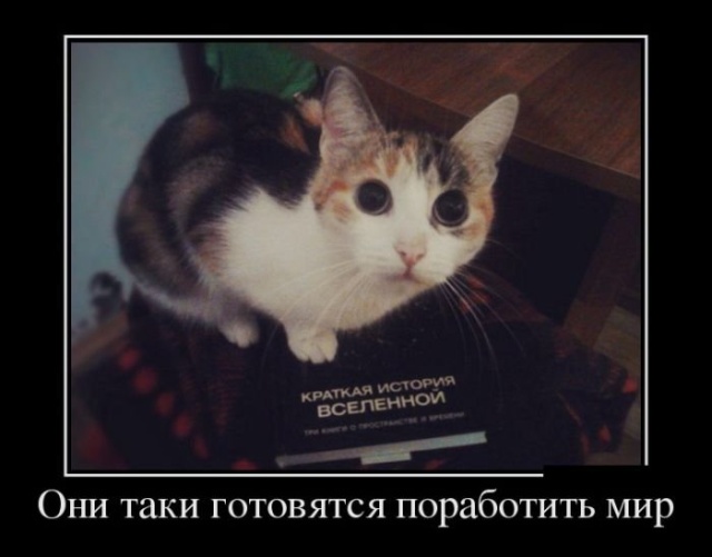 Демотиваторы