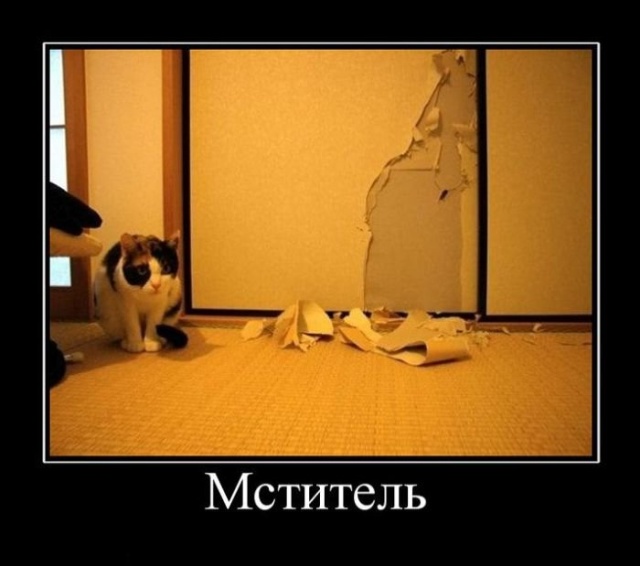 Демотиваторы