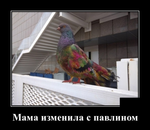 Демотиваторы