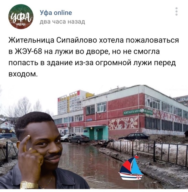 Прикольные картинки