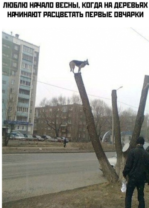 Прикольные картинки