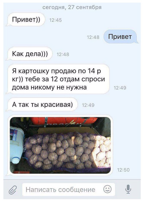 Прикольные картинки