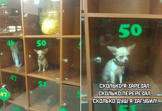 Прикольные картинки