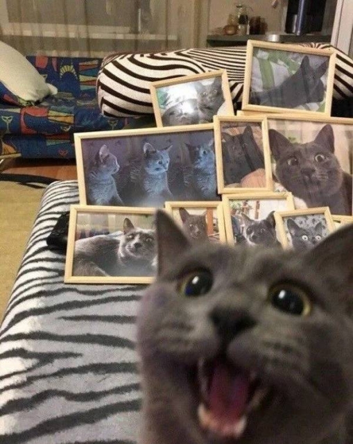 Что-то тут не так