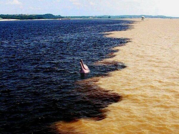 Мир, который не перестает удивлять Мир, который не перестает удивлять