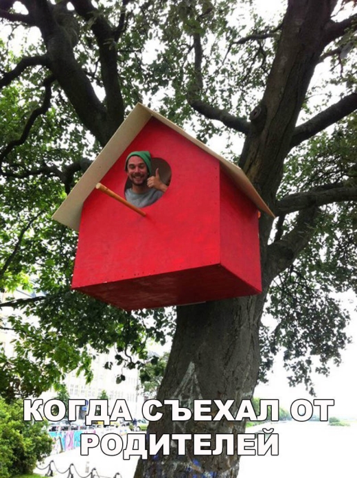 Прикольные картинки