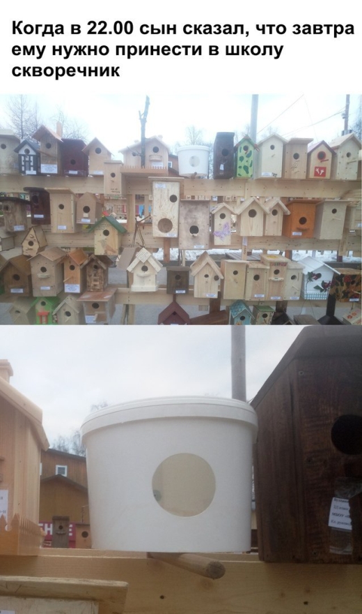 Прикольные картинки