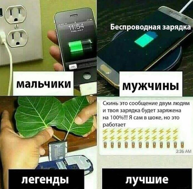 Прикольные картинки