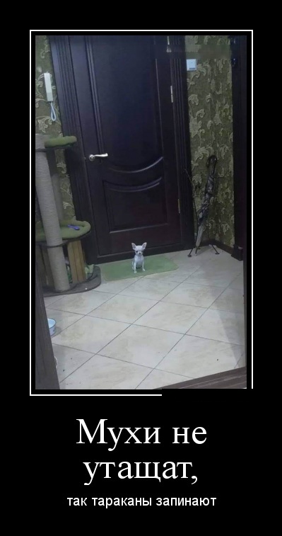 Демотиваторы