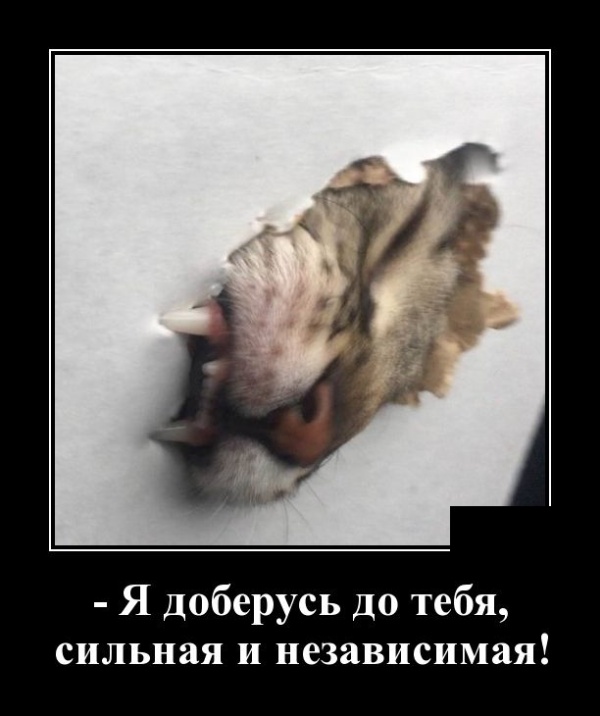 Демотиваторы