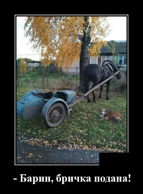 Демотиваторы