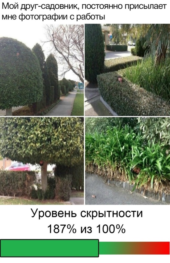 Прикольные картинки