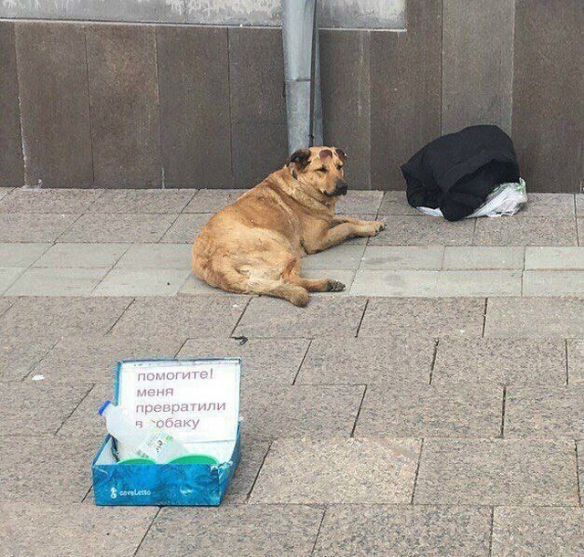 Прикольные картинки