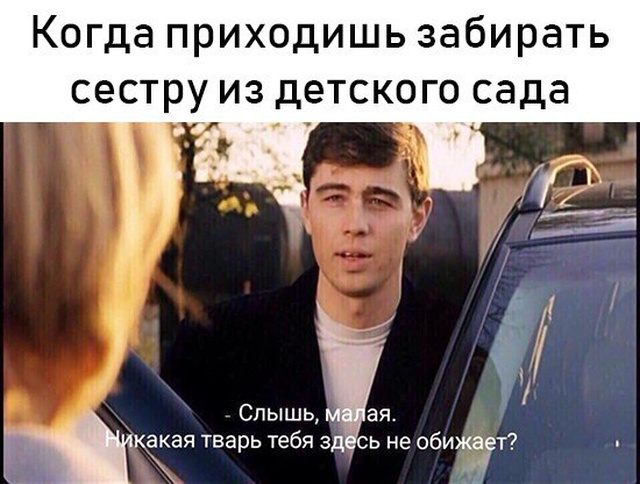 Прикольные картинки